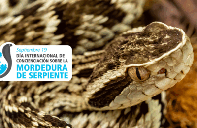 Día Internacional de la Concienciación de la Mordedura de Serpiente