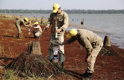 © OPS/OMS Paraguay | 2015. Campeones de las Américas contra la malaria. (SENEPA).
