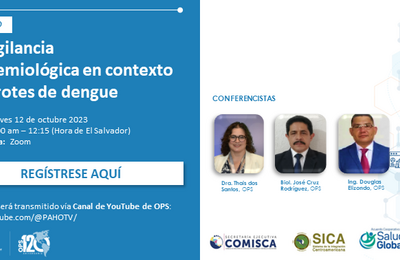 Webinario: La vigilancia epidemiológica en contexto de brotes de dengue