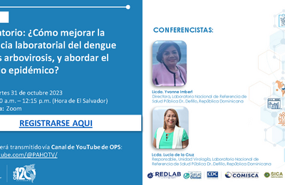 Laboratorio: ¿Cómo mejorar la vigilancia laboratorial del dengue y otras arbovirosis, y abordar el período epidémico?
