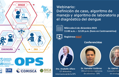 Webinario: Definición de caso, algoritmo de manejo y algoritmo de laboratorio para el diagnóstico del dengue