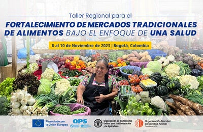Taller Regional para el Fortalecimiento de mercados tradicionales de alimentos  bajo el enfoque de Una Salud