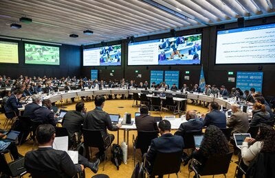 El Consejo Ejecutivo de la OMS comienza hoy