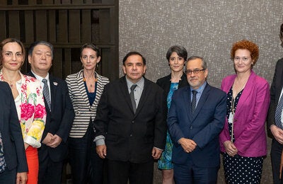 ALIANZA APS-2024-PAN-JPG