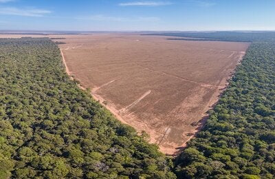 Deforestación en la selva.