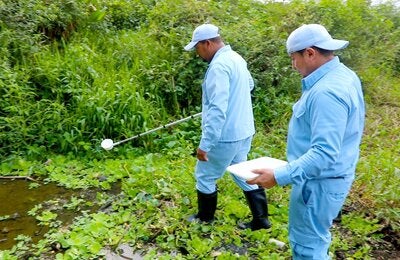 Taller Binacional sobre la Vigilancia Entomológica de la malaria