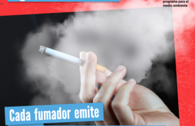 tabaco