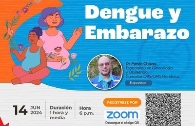 anuncio de webinario Dengue y Embarazo