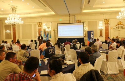 Taller de revisión del presupuesto del programa de prevención de enfermedades vectoriales