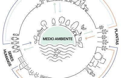 Estrategia Una salud