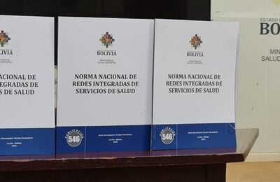 norma boliviana