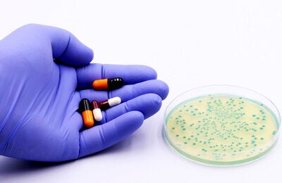 Bacteria in a Petri dish and in the hand of a doctor or researcher antibiotics or drugs.