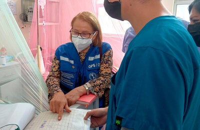 Imagen encabezado de la página tema de salud Dengue