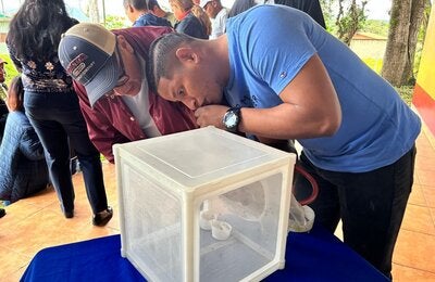 Entomólogos aprenden técnicas de control vectorial