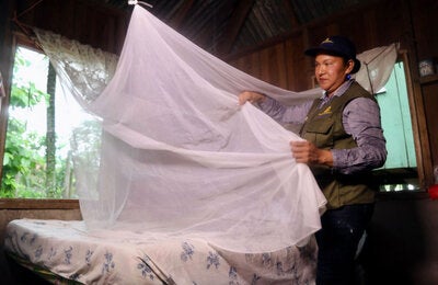 mosquito net