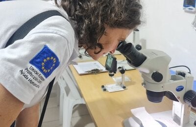 Mision dengue Santa Cruz