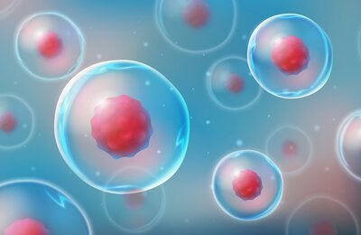 Boosting access, innovation and production of advanced therapies in Latin America and the Caribbean: agreement between PAHO and AECID 