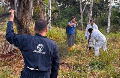 control rabia herbívoros ecuador