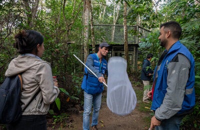 Colombia fortalece la vigilancia de la Fiebre Amarilla con enfoque territorial desde el Putumayo