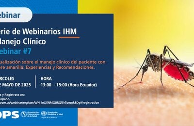 Actualización sobre el manejo clínico del paciente con fiebre amarilla: Experiencias y Recomendaciones