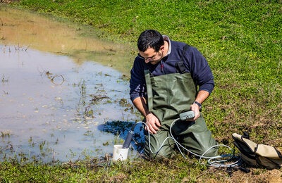Scientist measuring environmental water quality in a wetland