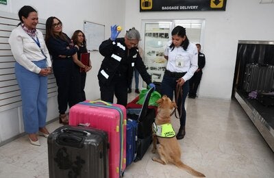 Equipo técnico de la OPS visitó la unidad canina que se entrena en las instalaciones de SENASICA