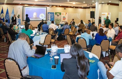 Group Discussions at the Belize Datathon