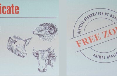 Certificate Free of Foot and Mouth Disease OMSA