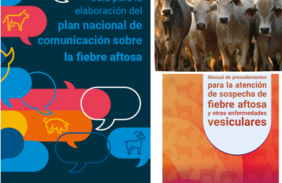 foto de las portadas de la guìa para la elaboración del plan nacional de comunicación sobre la fiebre aftosa y del Manual de procedimintos para la atención de sospecha de fiebre aftosa y otras enfermedades vesiculares junto con una foto de vacas en el campo