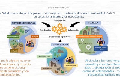 Gráfico de Una Salud