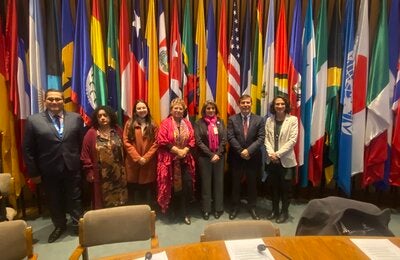 Participantes del evento de OPS y CEPAL