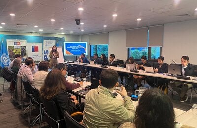 Autoridades de Chile y técnicos de PANAFTOSA-OPS discutiendo la hoja de ruta para la implementación de Una Sola Salud