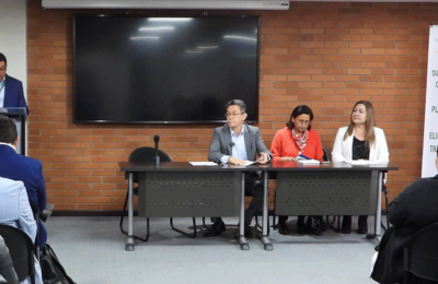 Mesa principal del Taller de eliminacion 2025-2031