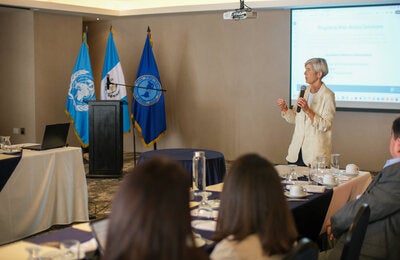 leucemia mieloide crónica