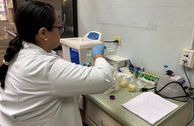 Inocuidad alimentaria CNDR