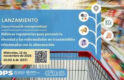 Políticas Regulatorias para Prevenir la Obesidad y Enfermedades No Transmisibles Relacionadas con la Dieta