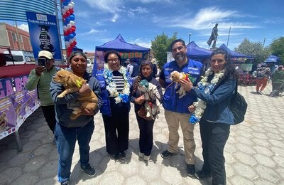 En la frontera viva entre Colchane (Chile) y Pisiga Carpa (Bolivia), la salud pública se convirtió en protagonista de una jornada histórica. Con el respaldo técnico de la Organización Panamericana de la Salud (OPS/OMS), ambos países realizaron una campaña binacional de vacunación antirrábica, reafirmando su compromiso con la meta regional: eliminar la rabia transmitida por perros para el año 2030.