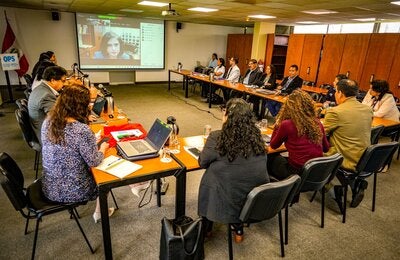 Reunión de preparación para la COP11