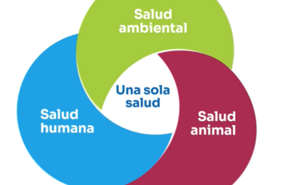 RAM una sola salud URY 