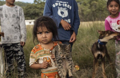 vacunación de mascotas