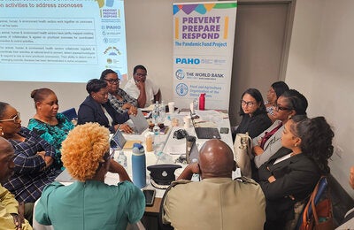 Participants at a workshop