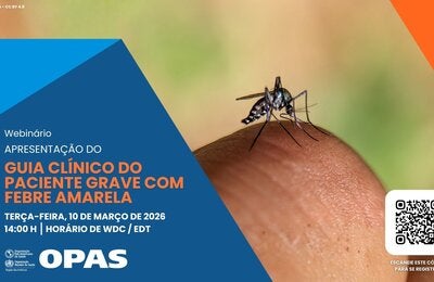 webinario febre amarela