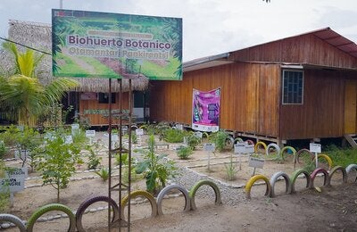 Biohuerto de medicina tradicional en un hospital intercultural en Perú
