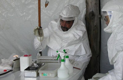 Hantavirus