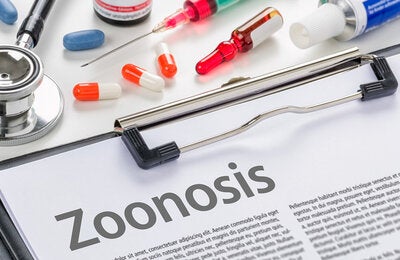 Zoonosis written on a clipboard