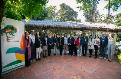 Taller inteligencia epidémica Paraguay