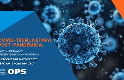 COVID-19 en la etapa post-pandémica: caracterización epidemiológica y virológica
