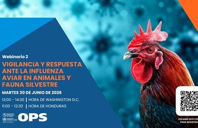 webinario influenza aviar