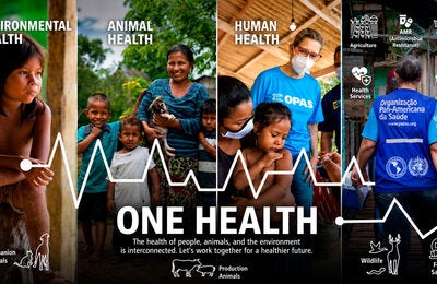 Imágenes que representan el enfoque Una Sola Salud, a través de la salud ambiental, la salud animal y la salud humana