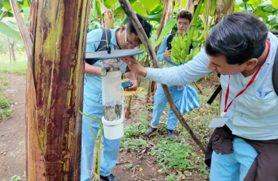 Identificación y vigilancia de culicoides
